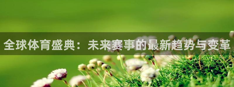 超凡网易版官网入口