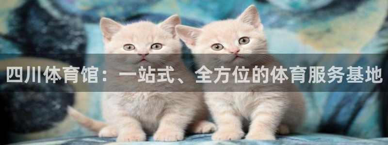 超凡之路app下载