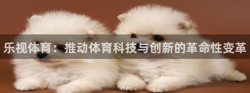 超凡国际app登录入口官网