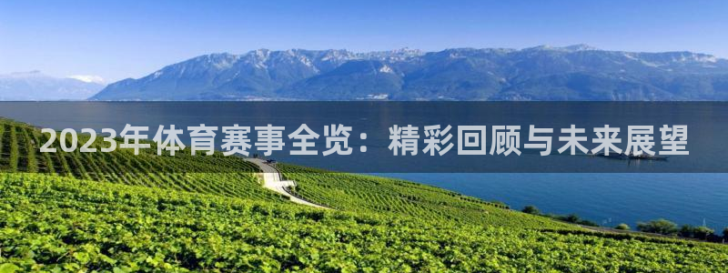 超凡国际服下载